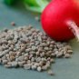 Big Red Radish Vegetable F1 500 PCS Seeds