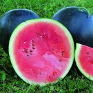 Big Pink Watermelon Improved 20 PCS Seeds Big Pink Watermelon Improved 20 PCS Seeds