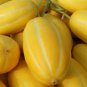 Big Yellow Sweet Taste Vegetable Mitarl Melon 8 PCS Seeds