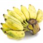 Big Hainan Yellow Banana 100 PCS Seeds