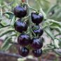 Big Black Tomato F1 Original Pack 200 PCS Seeds