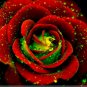 Big Blooming Red Green Rose Bush Flower 50 PCS Seeds