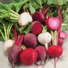 Beetroot Mixed Blood Yellow White Color Vegetable 50 PCS Seeds