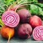 Beetroot Mixed Blood Yellow White Color Vegetable 50 PCS Seeds