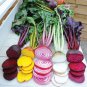 Beetroot Mixed Blood Yellow White Color Vegetable 50 PCS Seeds