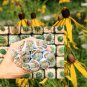 Beauty Mixed Mini Lithops Bonsai Plants 100 PCS Seeds