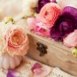 Beautiful Flowering Blubs Ranunculus Persian Buttercup 20 PCS Seeds