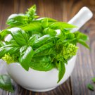Basil Blue Spice heavily fragrant with an air of vanilla 100 PCS Seeds Basil Blue Spice heavily fragrant with an air of vanilla 100 PCS Seeds