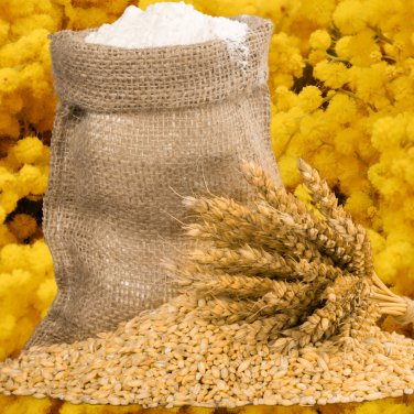 Barley 50 PCS Seeds