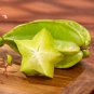 Averrhoa Carambola 100 PCS Seeds