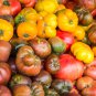 Organic Yellow Beefsteak Heirloom Tomato Bonsai 100 PCS Seeds