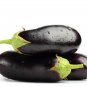Aubergine Black Egg Plant Vegetables 100 PCS Seeds