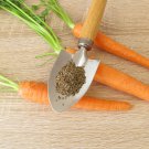 Atomic Carrot 100 PCS Seeds