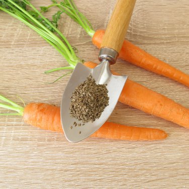 Atomic Carrot 100 PCS Seeds
