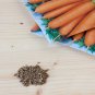Atomic Carrot 100 PCS Seeds