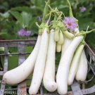 Asian White Eggplant 100 PCS Seeds