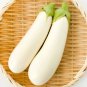 Asian White Eggplant 100 PCS Seeds