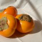 Asian Persimmon 100 PCS Seeds