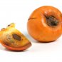 Asian Persimmon 100 PCS Seeds