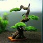 Aquatic Grass Colorful Underwater Moss Aquarium Pot Plant Indoor 500 PCS Seeds