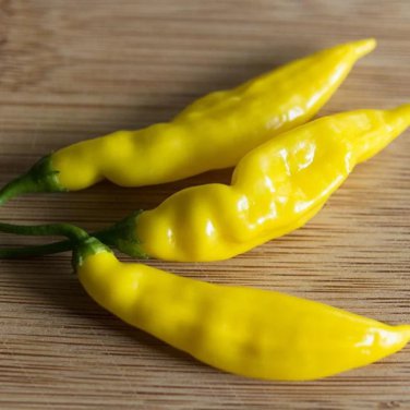 Anhui Yelow Hot Pickled Chili Pepper Organic 20 PCS Seeds