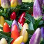 Anhui Colorful Hot Ornamental Pepper Organic 35 PCS Seeds