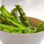 American No-bracket Cowpea 60 PCS Seeds