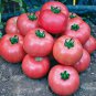 American Pink Long Tomato Organic 300 PCS Seeds