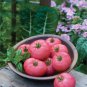 American Pink Long Tomato Organic 300 PCS Seeds