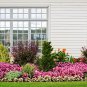 Alyssum -s-Lobularia maritima Flower -s Home Garden Multi-Color 100 PCS Seeds