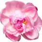 apple bloom rosebud Pink Color big blooms 10 PCS Seeds