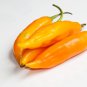 Aji Amarillo Chile 100 PCS Seeds