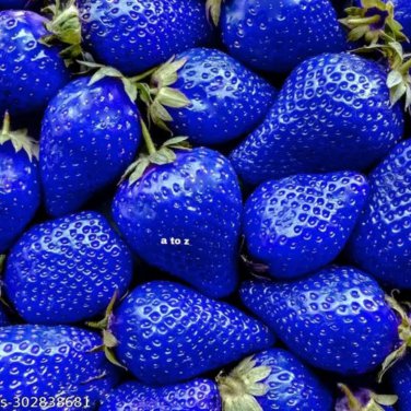 African Blue Strawberry 100 Seeds PCS Seeds