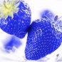 African Blue Strawberry 100 Seeds PCS Seeds