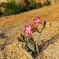 Adenium Obesum semillas Bonsai Desert Rose Flower Plant Sementes 20 PCS Seeds