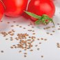 Adelebe Bright Red Big Tomato 100 PCS Seeds