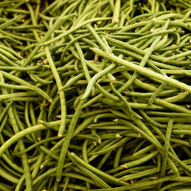 40 inch Super Long Green Cowpea Organic Vegetables  20 PCS Seeds