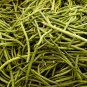 40 inch Super Long Green Cowpea Organic Vegetables 20 PCS Seeds