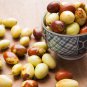 Ziziphus mauritiana Fruit Tree Chinese Red Date Jujube 20 PCS Seeds