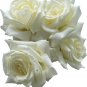 Yunnan White Rose 50 PCS Seeds
