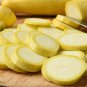Yellow Zucchini Summer Squash Cucurbita Pepo Vegetable 8 PCS Seeds