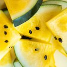 Yellow Watermelon Organic 8 PCS Seeds