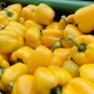 Yellow Trinidad Moruga Scorpion Chili Pepper 10 PCS Seeds