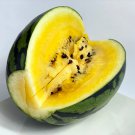 Yellow Skin Yellow Inside Sweet Round Watermelon 'Wu Feng' Organic 20 PCS Seeds