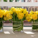 Yellow Short Climbing Rose 50 PCS Seeds Yellow Short Climbing Rose 50 PCS Seeds