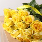 Yellow Rose Golden Celebration Aromatic 100 PCS Seeds