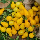 Yellow 'Pear' Cherry Tomato 30 PCS Seeds Yellow 'Pear' Cherry Tomato 30 PCS Seeds