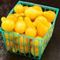 Yellow 'Pear' Cherry Tomato 30 PCS Seeds
