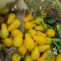 Yellow 'Pear' Cherry Tomato 30 PCS Seeds