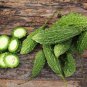 Yellow Momordica Organic Smallest Bitter Melon 8 PCS Seeds